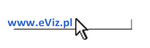 eViz tworzenie www
