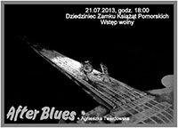 Szczecin, koncerty, Zamek Książąt Pomorskich, w Szczecinie, After Blues, wstęp wolny, blues łączy pokolenia