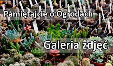 zobacz galerię zdjęć Pamiętajcie o Ogrodach 2011