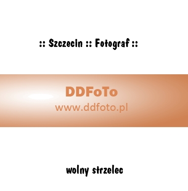 Szczecin - fotograf