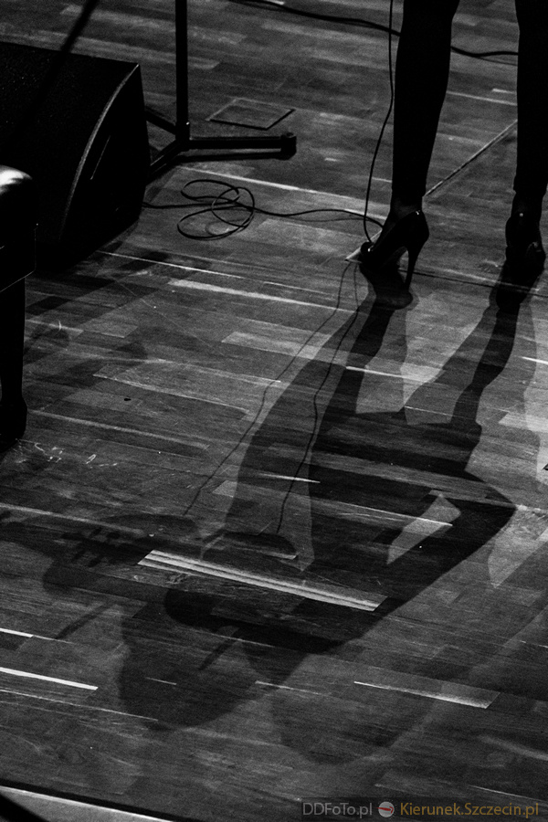 koncert Queen symfonicznie 045