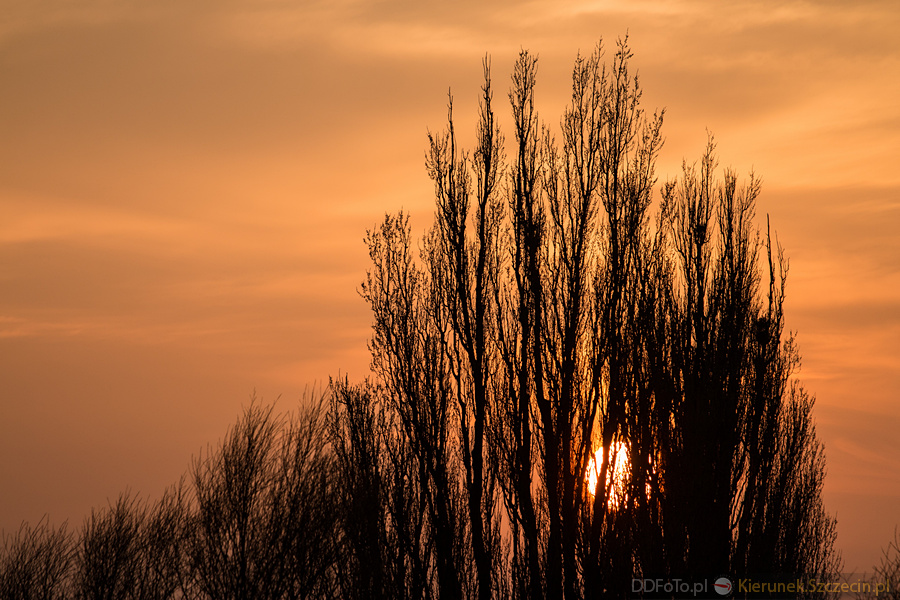 2015 04 Szczecin :: 22