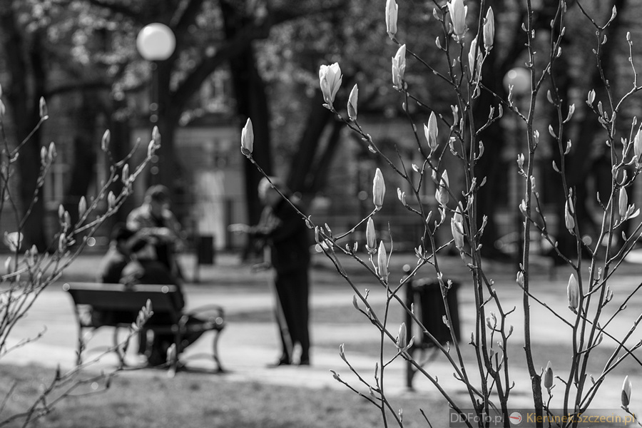 2015 04 Szczecin :: 27