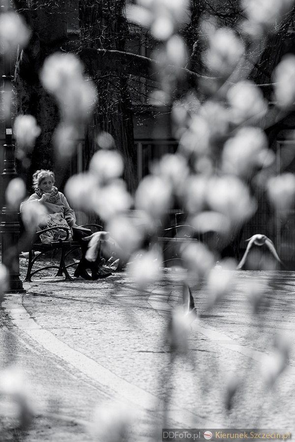 2015 04 Szczecin :: 30