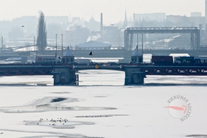 Szczecin na co dzień 2012-02-05