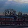 Szczecin :: luty 2012 :: 06