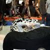 Szczecin Game Show 2010-05