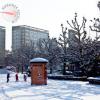 szczecin-na-zimowo-2012-02-01