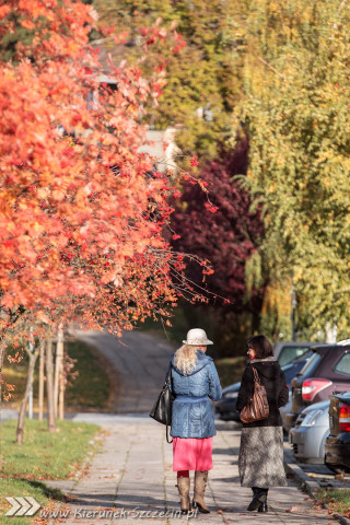 Fotografia z cyklu Szczecin na co dzień wykonana 26.10.2015 - jesień na osiedlu Bukowym