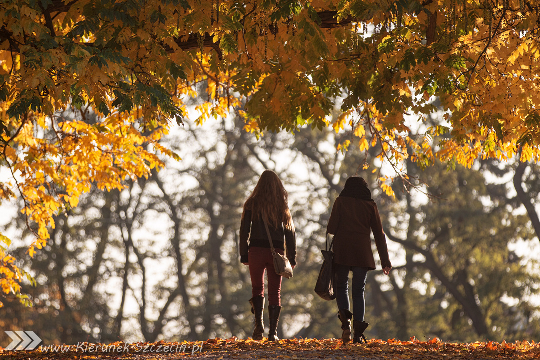 Fotografia. Szczecin na co dzień 27.10.2015