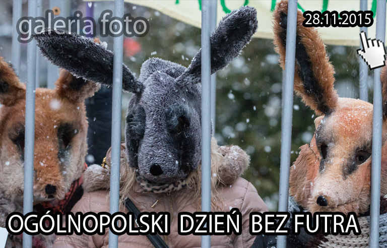 Szczecin. FOTOREPORTAŻ. 28.11.2015. Happening Ogólnopolski Dzień bez Futra @ Pl. Żołnierza