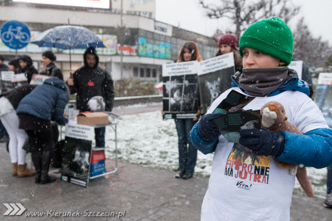 28.11.2015. Happening Ogólnopolski Dzień bez Futra w Szczecinie