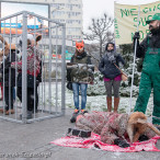 28.11.2015. Happening Ogólnopolski Dzień bez Futra w Szczecinie