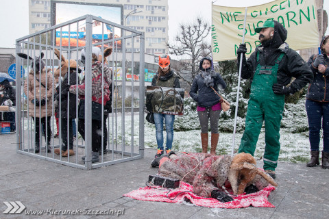 28.11.2015. Happening Ogólnopolski Dzień bez Futra w Szczecinie