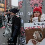 28.11.2015. Happening Ogólnopolski Dzień bez Futra w Szczecinie