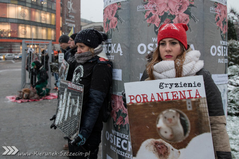 28.11.2015. Happening Ogólnopolski Dzień bez Futra w Szczecinie