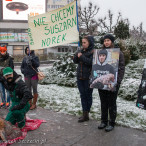 28.11.2015. Happening Ogólnopolski Dzień bez Futra w Szczecinie