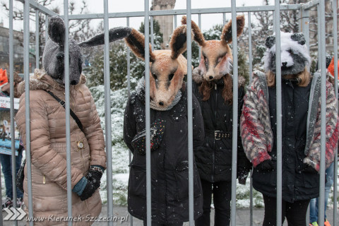 28.11.2015. Happening Ogólnopolski Dzień bez Futra w Szczecinie