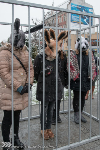 28.11.2015. Happening Ogólnopolski Dzień bez Futra w Szczecinie