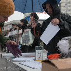 28.11.2015. Happening Ogólnopolski Dzień bez Futra w Szczecinie