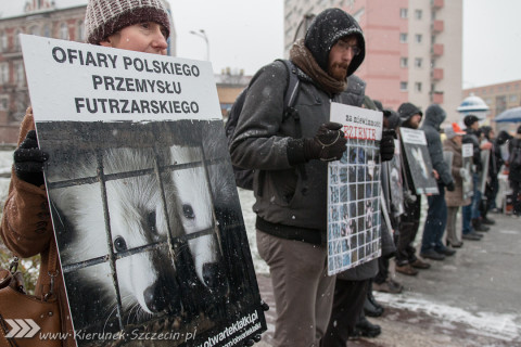 28.11.2015. Happening Ogólnopolski Dzień bez Futra w Szczecinie