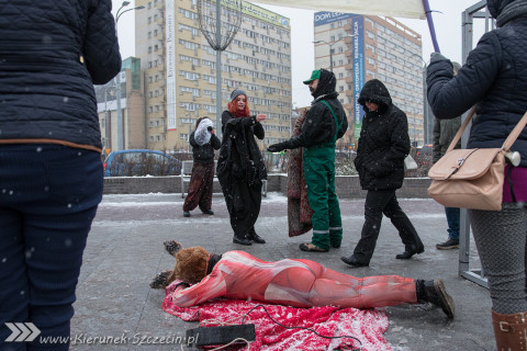 Szczecin 28-11-2015 happening Ogólnopolski Dzien bez Futra 06