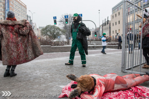 Szczecin 28-11-2015 happening Ogólnopolski Dzien bez Futra 06