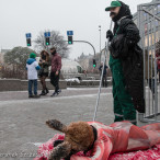 Szczecin 28-11-2015 happening Ogólnopolski Dzien bez Futra 06