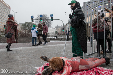 Szczecin 28-11-2015 happening Ogólnopolski Dzien bez Futra 06