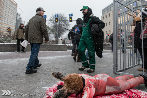 Szczecin 28-11-2015 happening Ogólnopolski Dzien bez Futra 06