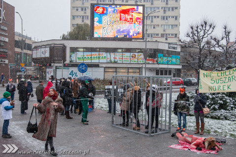 Szczecin 28-11-2015 happening Ogólnopolski Dzien bez Futra 06