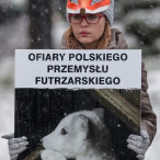 28.11.2015. Happening Ogólnopolski Dzień bez Futra w Szczecinie