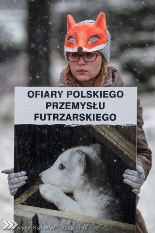 28.11.2015. Happening Ogólnopolski Dzień bez Futra w Szczecinie