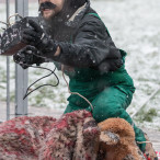 28.11.2015. Happening Ogólnopolski Dzień bez Futra w Szczecinie