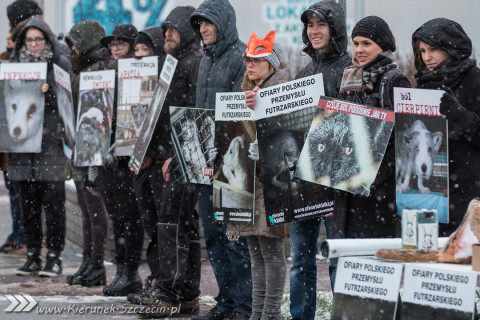 28.11.2015. Happening Ogólnopolski Dzień bez Futra w Szczecinie