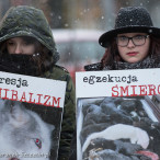 28.11.2015. Happening Ogólnopolski Dzień bez Futra w Szczecinie