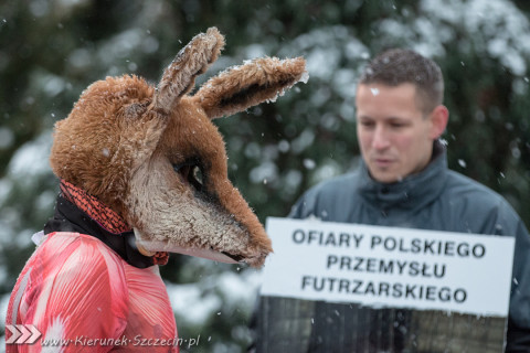 28.11.2015. Happening Ogólnopolski Dzień bez Futra w Szczecinie