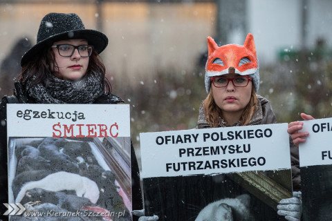 28.11.2015. Happening Ogólnopolski Dzień bez Futra w Szczecinie