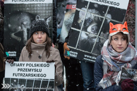 28.11.2015. Happening Ogólnopolski Dzień bez Futra w Szczecinie