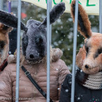 28.11.2015. Happening Ogólnopolski Dzień bez Futra w Szczecinie