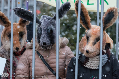 28.11.2015. Happening Ogólnopolski Dzień bez Futra w Szczecinie