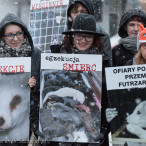 28.11.2015. Happening Ogólnopolski Dzień bez Futra w Szczecinie