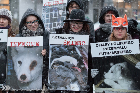 28.11.2015. Happening Ogólnopolski Dzień bez Futra w Szczecinie