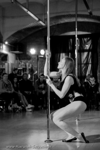 galeria fotografii Pole Dance Jungle Challenge, Szczecin 12.03.2016