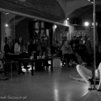 galeria fotografii Pole Dance Jungle Challenge, Szczecin 12.03.2016