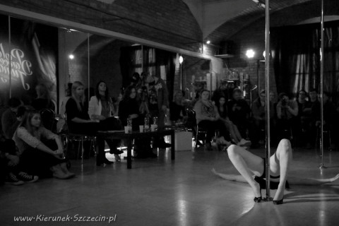 galeria fotografii Pole Dance Jungle Challenge, Szczecin 12.03.2016