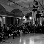 galeria fotografii Pole Dance Jungle Challenge, Szczecin 12.03.2016