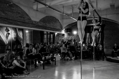 galeria fotografii Pole Dance Jungle Challenge, Szczecin 12.03.2016