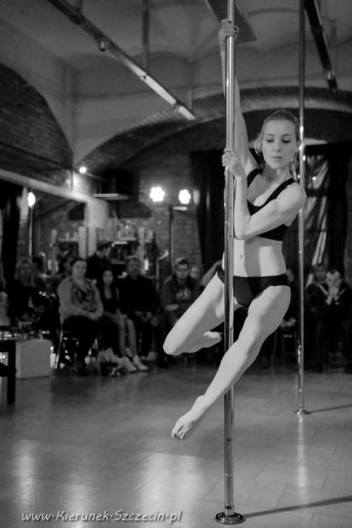 galeria fotografii Pole Dance Jungle Challenge, Szczecin 12.03.2016