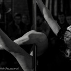 galeria fotografii Pole Dance Jungle Challenge, Szczecin 12.03.2016